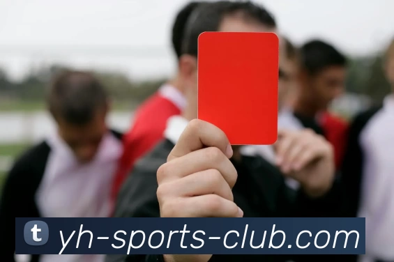 英皇体育俱乐部平台生态图